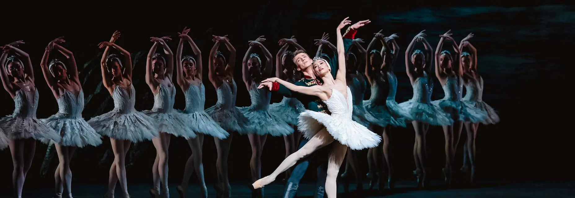 The Royal Ballet 26/27: Het Zwanenmeer